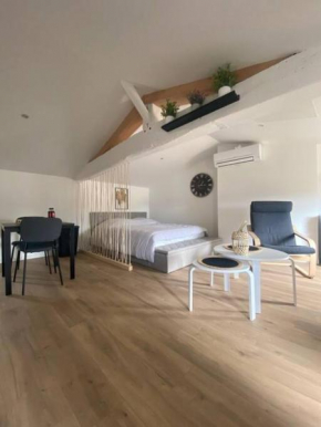 Studio neuf lumineux climatisé